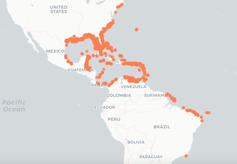 Map visualizing the spread of lionfish in the Atlantic, with orange dots representing recorded sightings as of 2023 from the ‘Lionfish Monitoring Dashboard,’ a collaborative project spearheaded by researchers at the Federal University of Ceará, Brazil. <a href="https://monitoramentos.shinyapps.io/LionfishWatch/" rel="nofollow noopener" target="_blank" data-ylk="slk:Lionfish Watch;elm:context_link;itc:0;sec:content-canvas" class="link ">Lionfish Watch</a>, <a href="http://creativecommons.org/licenses/by-nd/4.0/" rel="nofollow noopener" target="_blank" data-ylk="slk:CC BY-ND;elm:context_link;itc:0;sec:content-canvas" class="link ">CC BY-ND</a>
