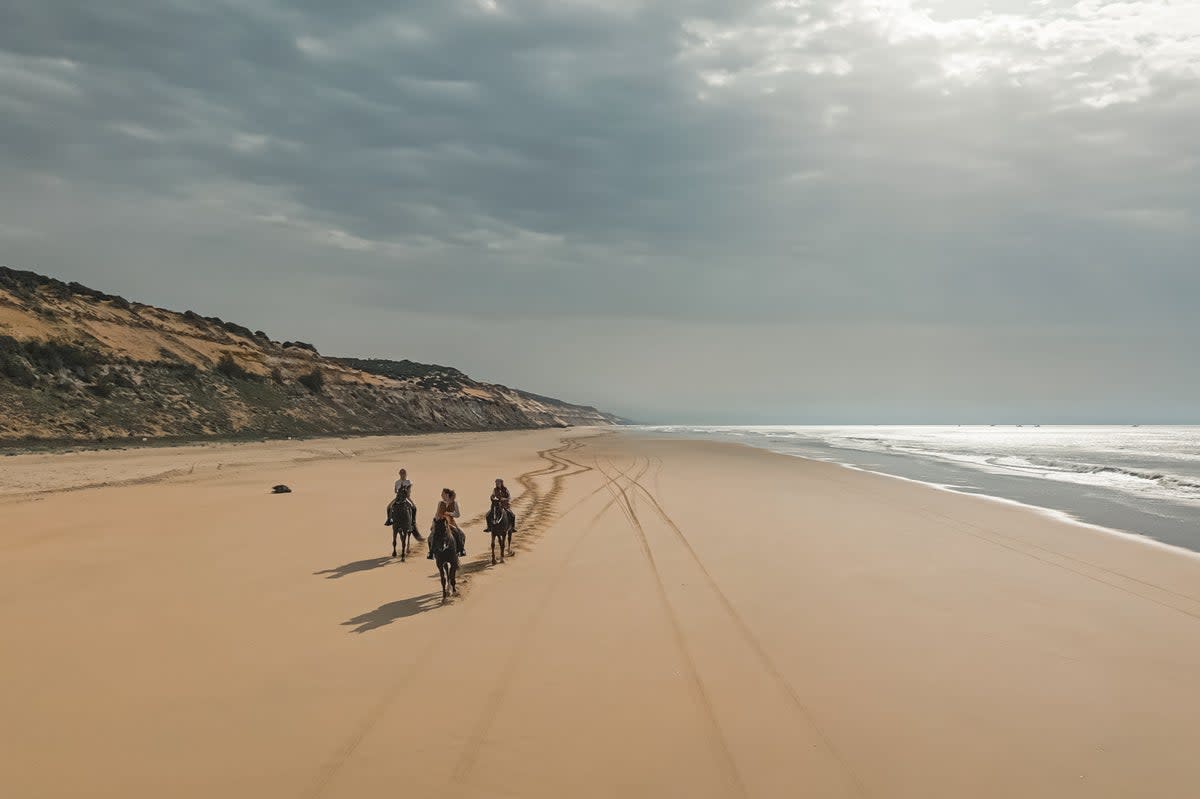 Autumn is the perfect time to explore the Andalusian countryside  (Kukutana)