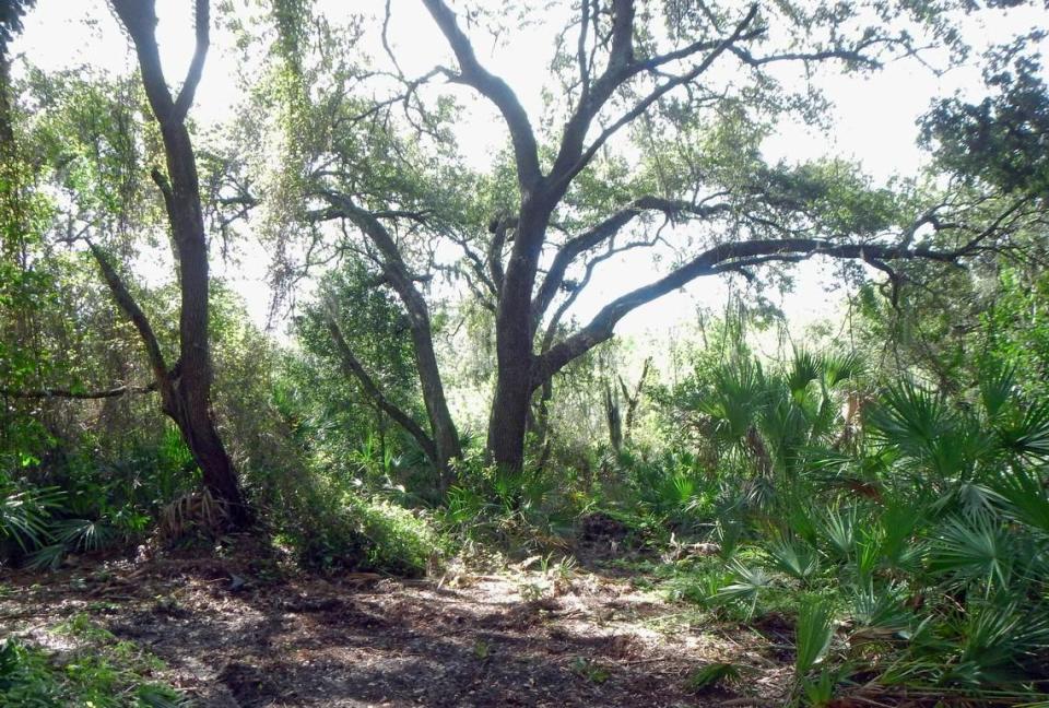 The Conservation Foundation of the Gulf Coast is preparing to purchase a conservation easement on 58 acres of East Manatee County land with help from a grant from the Bishop-Parker Foundation.