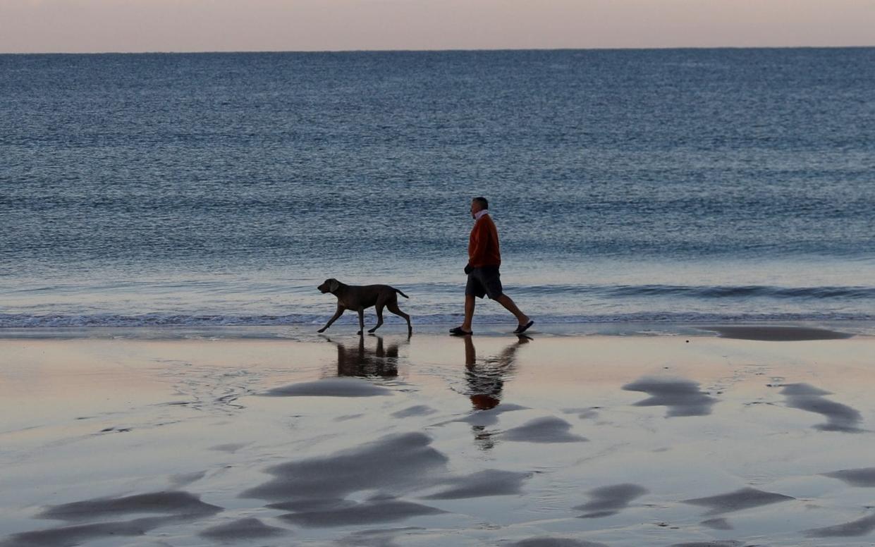 Dog walker - Reuters