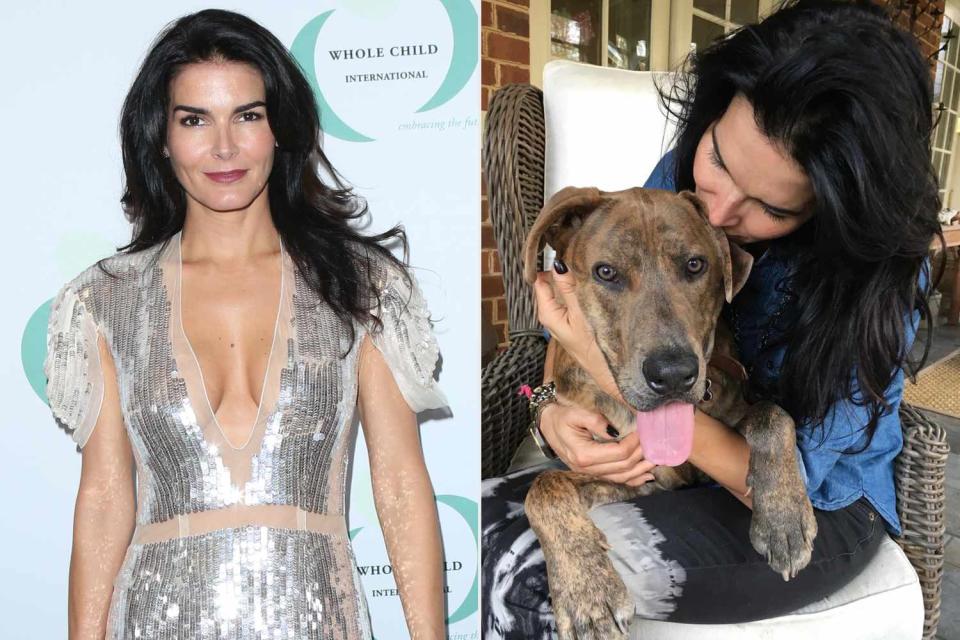 <p> Paul Archuleta/WireImage; Angie Harmon/Instagram</p> Angie Harmon