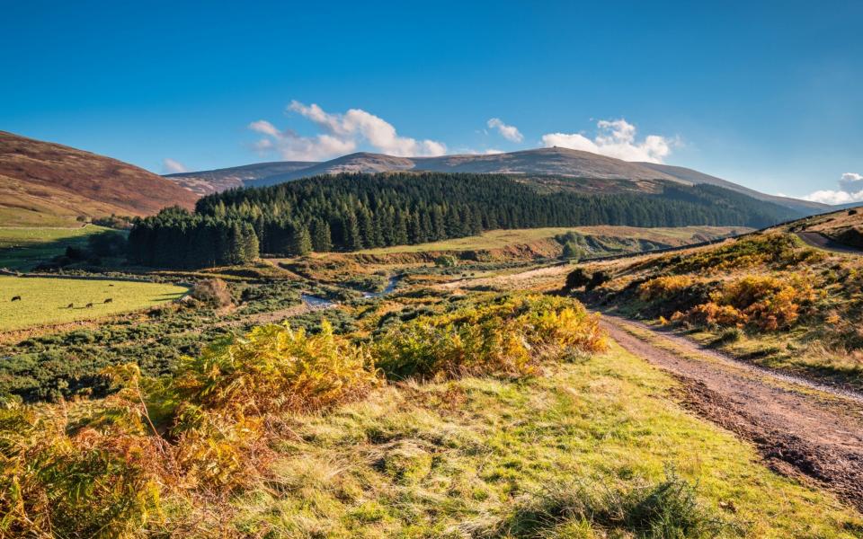 The Cheviot Hills straddle the Anglo-Scottish border - Istockphoto