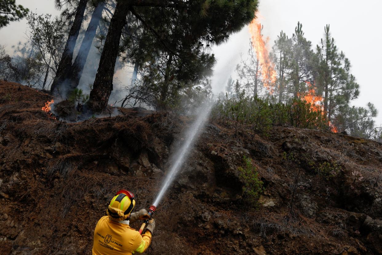 Jose Fernandez, 46-year-old, a forest firefighter from the R13 group, works to extinguish the Tijarafe forest fire on the Canary Island of La Palma, Spain (REUTERS)