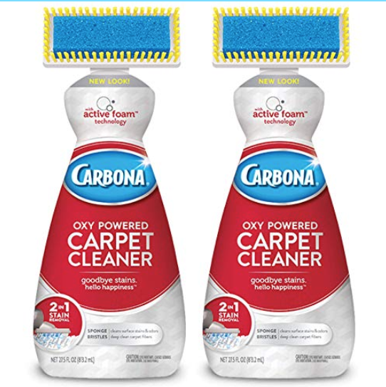 6) Carbona Oxy-Powered 2-in-1 Carpet Cleaner
