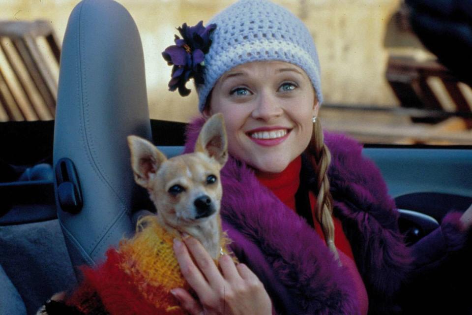 <p>Alamy</p> Reese Witherspoon as Elle Woods in 