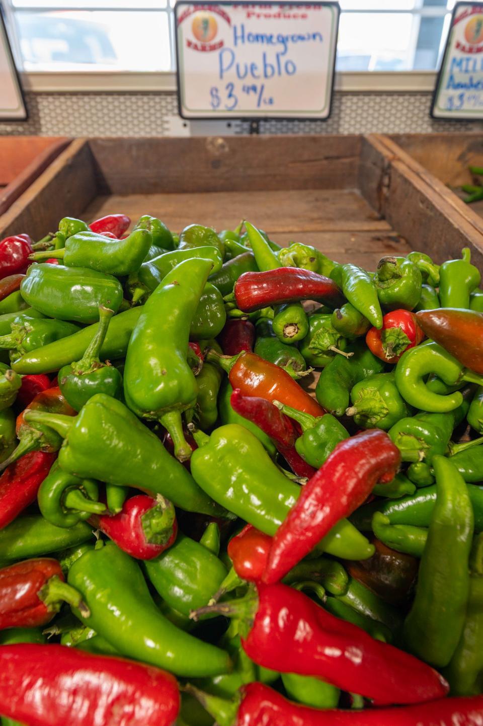 Pueblo chiles sit ripe and ready for sale at the Milberger Farms store on Wednesday, August 16, 2023.