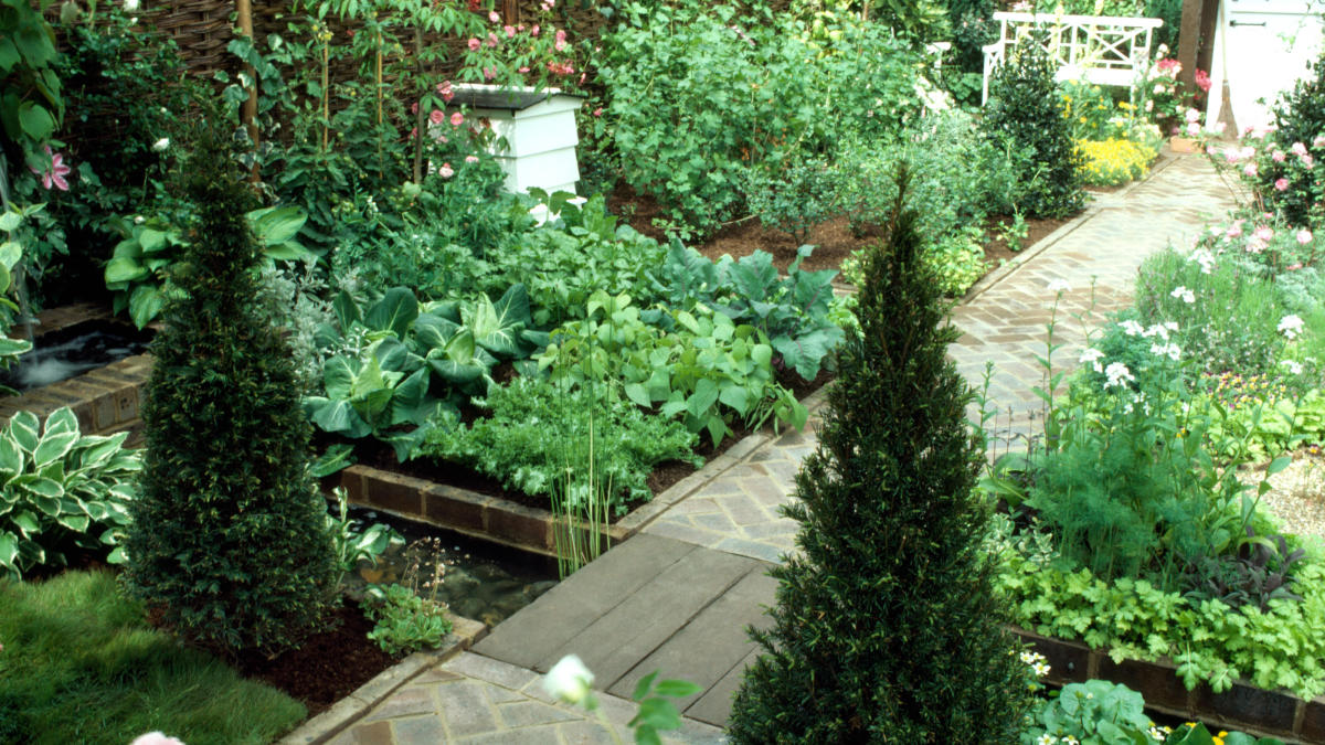 Vegetable Garden Ideas & Design