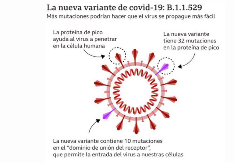 La nueva variante ómicron