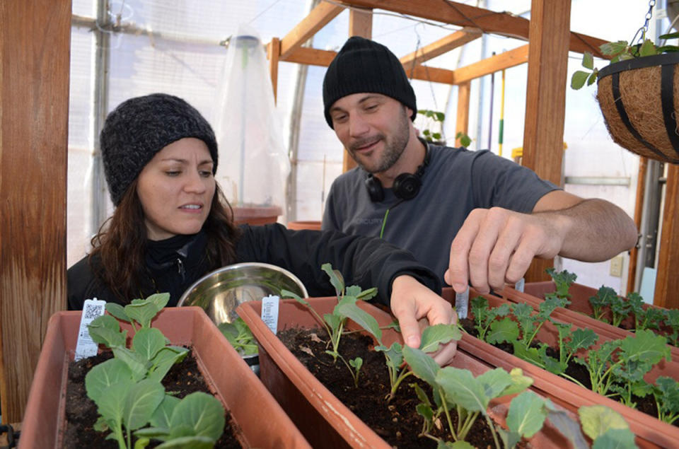 Dr. Yajaira Sierra-Sastre  harvesting. (<a href="http://hi-seas.org/">Dr. Sian Proctor</a>)