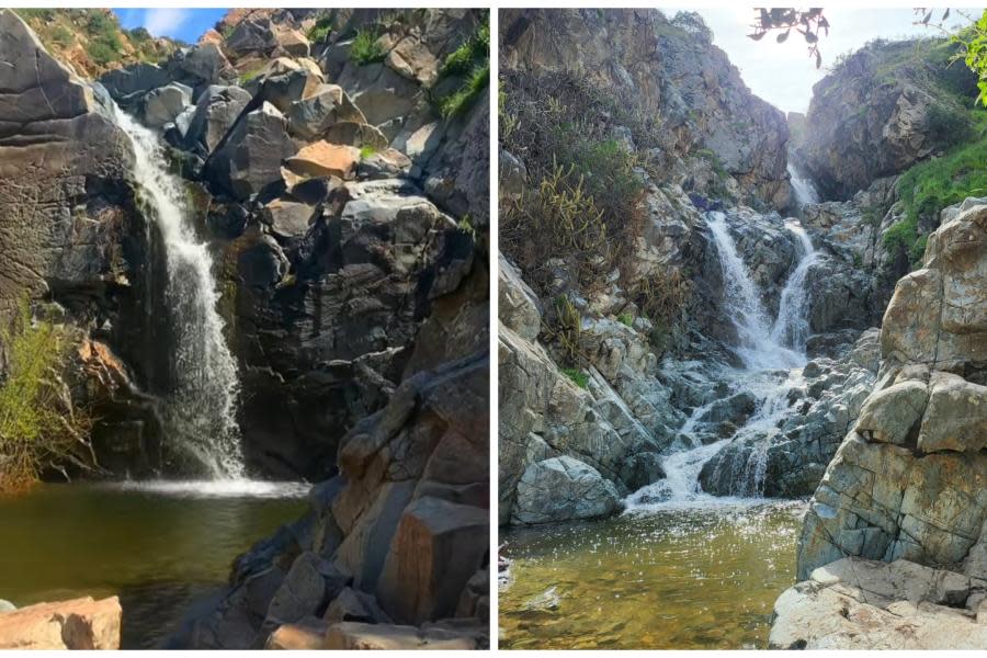 Cascada de Natura: ¿Ya visitaste este atractivo natural en Tijuana?