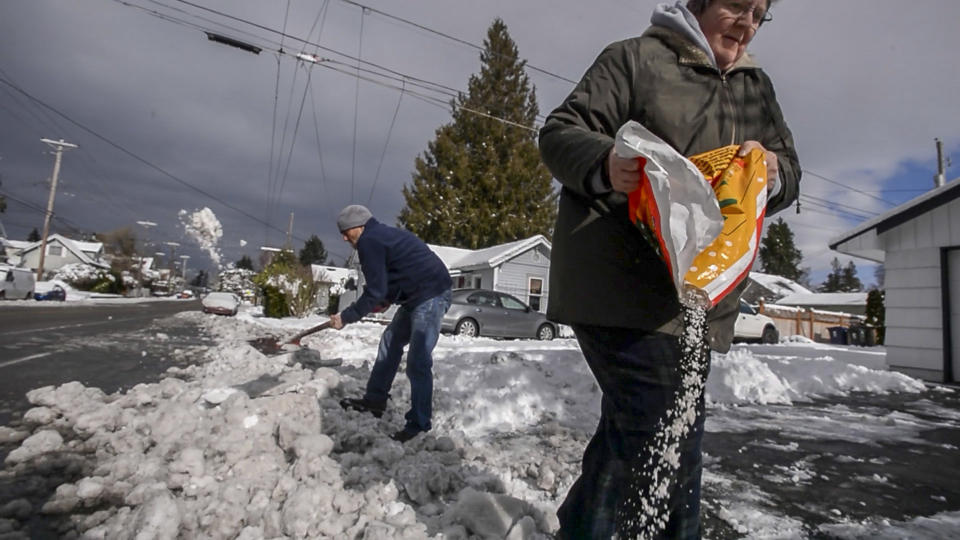 Sue Horgan, of Tacoma, salts her driveway as neighbor Michael Dane helps with the shoveling, Sunday, Feb. 10, 2019, in Tacoma, Wash. Pacific Northwest residents who are more accustomed to rain than snow were digging out from a winter storm and bracing for more on Sunday. (Peter Haley/The News Tribune via AP)