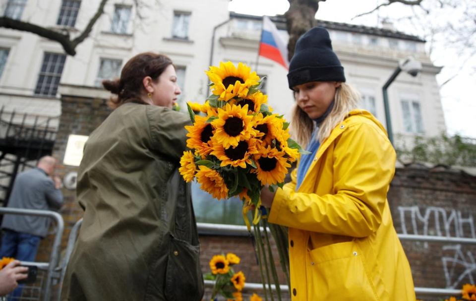 Anti-war protesters attach sunflowers to barriers in front of the Russian embassy in London (REUTERS)