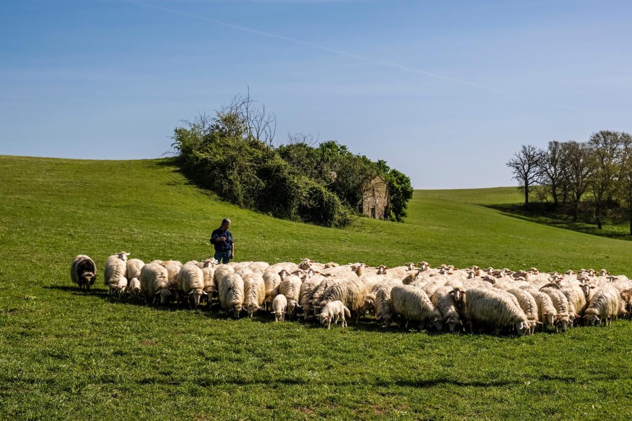 umbira italy