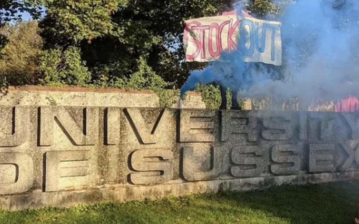 Banners have been erected calling for the removal of Professor Kathleen Stock - Anti Terf Sussex