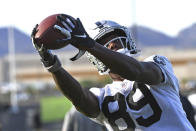 Las Vegas Raiders wide receiver Bryan Edwards makes a catch during an NFL football practice Wednesday, July 28, 2021, in Henderson, Nev. (AP Photo/David Becker)