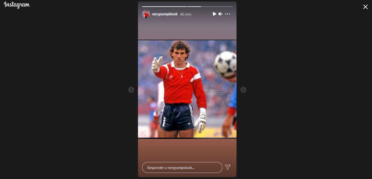 Nery Pumpido recordó la consagración de River en Japón en 1986