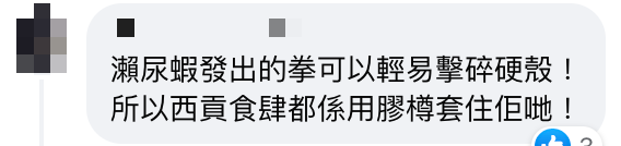 警世！瀨尿蝦前足殺傷力極高！網民欲拎住瀨尿蝦打卡下場極悲慘傷口超恐怖！ （附瀨尿蝦點樣入膠樽之謎） 