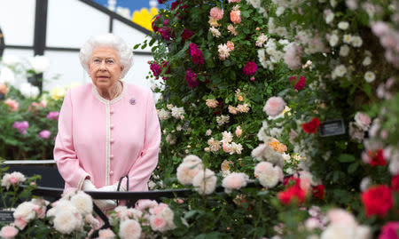 Britain's Queen Elizabeth looks at a display of roses as she tours the Chelsea Flower Show 2018 in London, Britain May 21, 2018. Richard Pohle/Pool via REUTERS