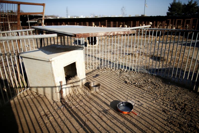 FILE PHOTO: An empty dog cage is seen at a dog meat farm in Wonju
