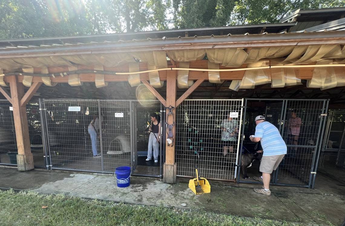 All About Animals Rescue volunteers clean dog kennels. The rescue was started by Macon natives Mary and Johnny Crawford.