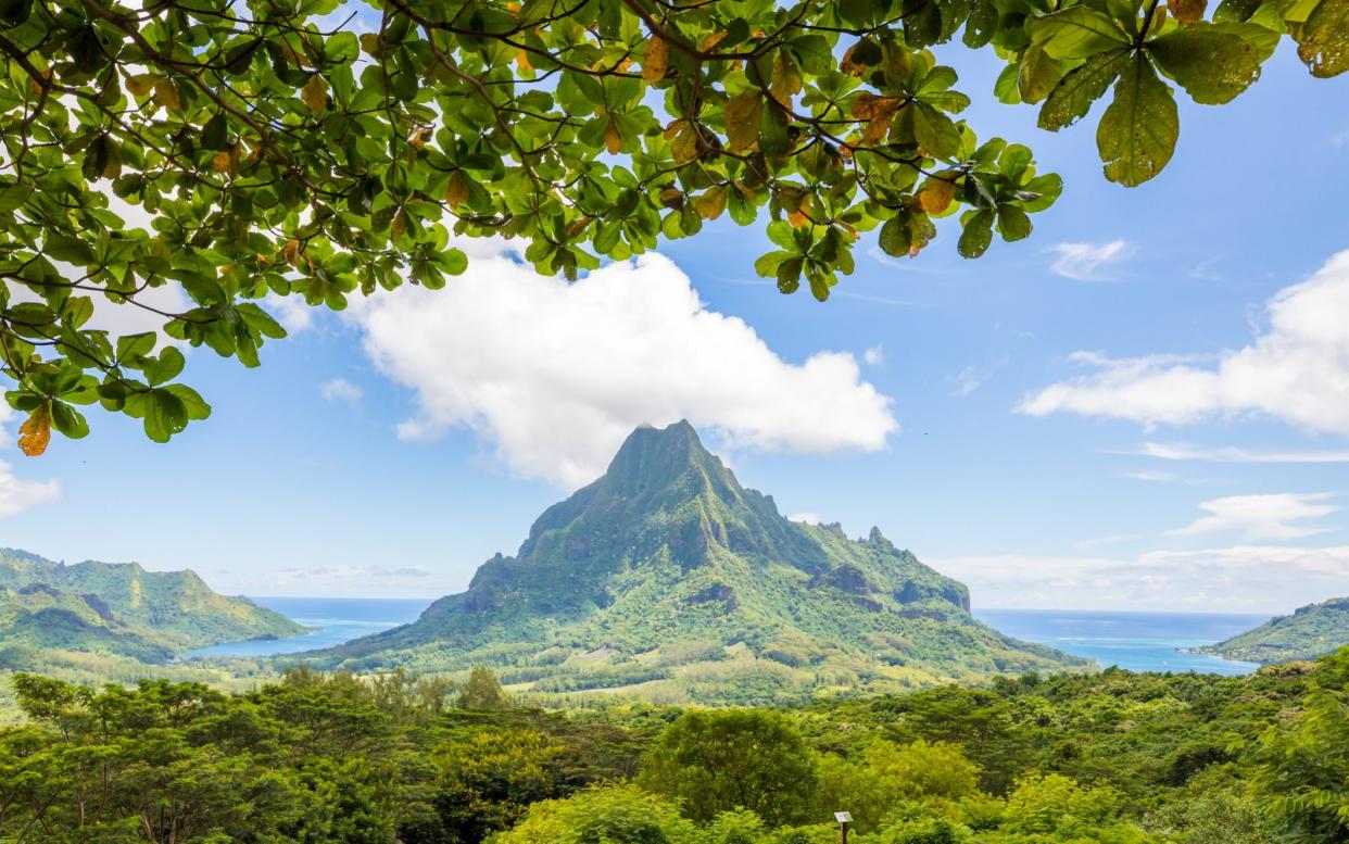 belvedere point french polynesia - Getty