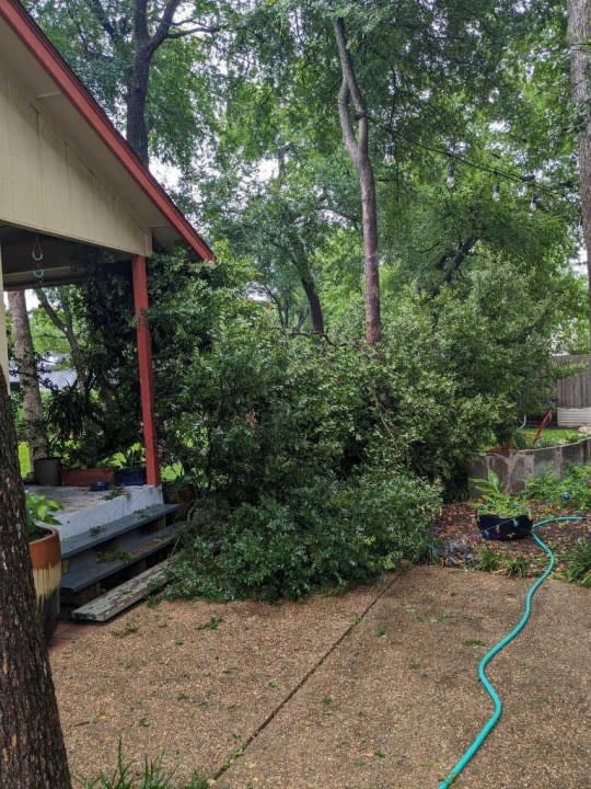 Downed tree limbs after severe storms in Austin (Courtesy Matt Mitchell)