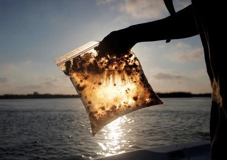 Una muestra de agua contaminada con petróleo de un derrame en la costa de Louisiana. (Reuters)