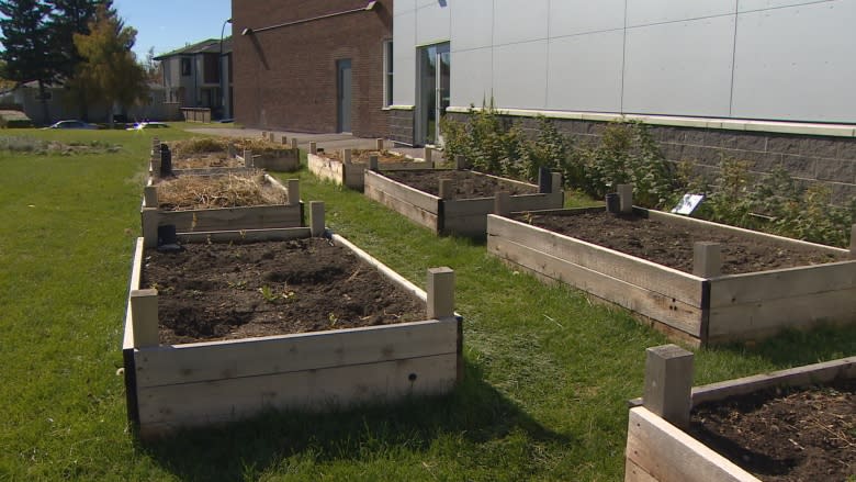 Calgary school named 'greenest' in Canada