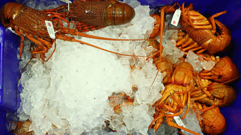 lobsters on ice