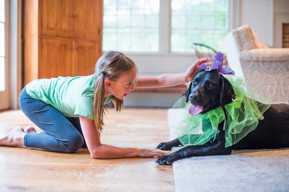  Es ist wichtig, den Alterungsprozess eures Hundes zu kennen, um ihnen dabei zu helfen, ihr bestes und längstes Leben zu führen. - Copyright: yellowdog/Getty Images