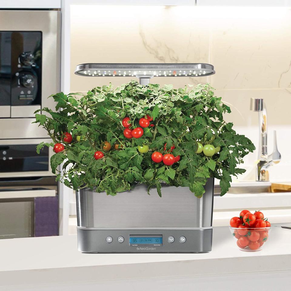 AeroGarden Harvest Elite Indoor Hydroponic Garden