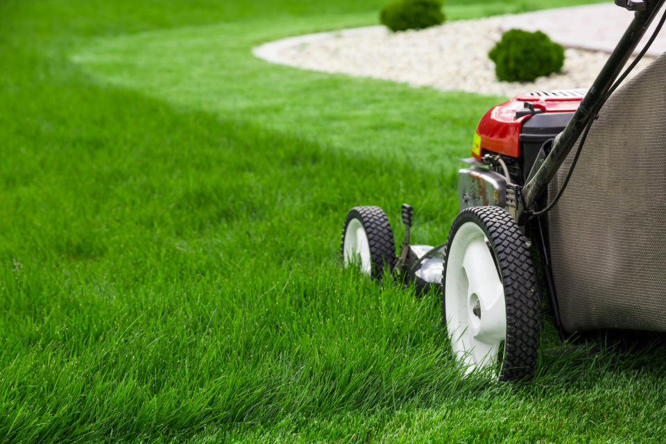 A lawnmower cuts a line through the grass