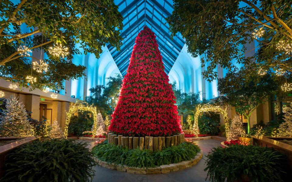 The Poinsettia Christmas Tree in Omaha, Nebraska