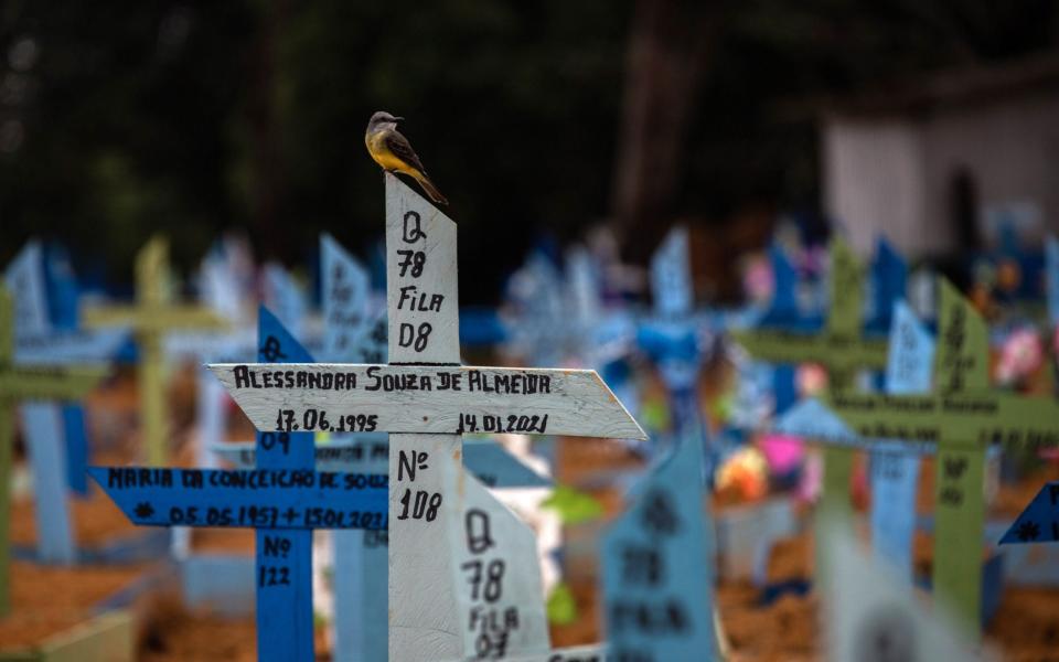 The Nossa Senhora Aparecida Cemetery, where victims of Covid-19 are buried, in Manaus - RAPHAEL ALVES/EPA-EFE/Shutterstock