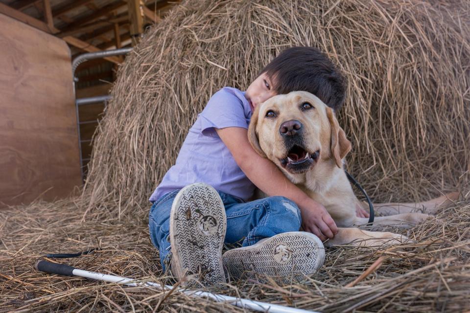 Blind Boy and Companion Dog Merlot Bond