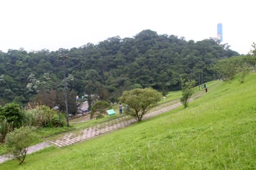 【台北文山區】福德坑環保復育公園─滑草、放風箏、騎單車！