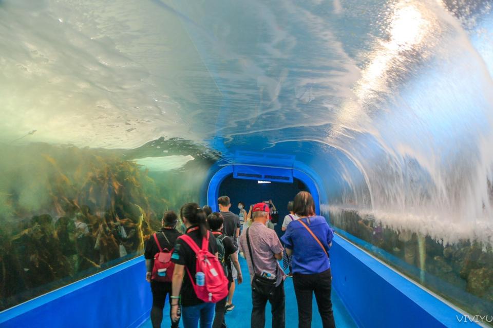 桃園水族館「Xpark」