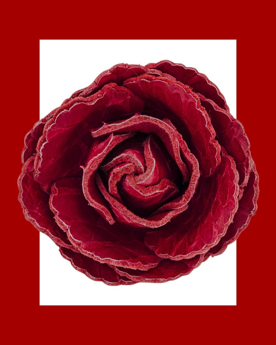 <p><a href="http://www.fleurdpins.com/lapelflowers/ruby-red-snakeskin-rose" rel="nofollow noopener" target="_blank" data-ylk="slk:Shop Now;elm:context_link;itc:0;sec:content-canvas" class="link ">Shop Now</a></p><p>Ruby Red Python Classic Rose</p><p>$250.00</p><p>fleurdpins.com</p>