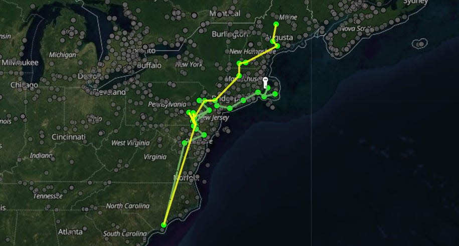 A screenshot of the Motus digital platform shows, in yellow, the most recent migratory path north of American Kestrel #42329.