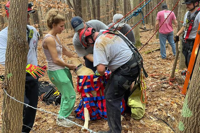 <p>Fairview Rural Fire Department</p> Firefighter remove Mudge the Great Dane from a rope rescue rig after saving the puppy from the bottom of an old well