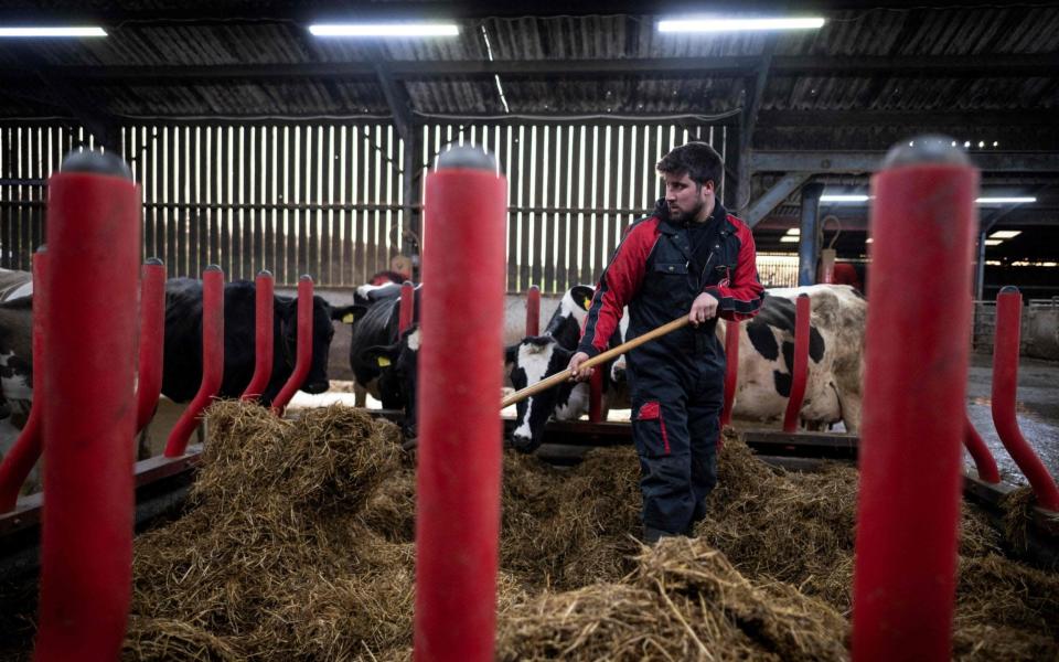 NatWest farmer £1.25bn - Ben STANSALL / AFP
