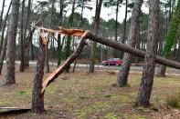 A car drives past a broken pine tree in the basin city of Andernos, near Bordeaux, south-western France, after Storm Fabien. (Reuters)