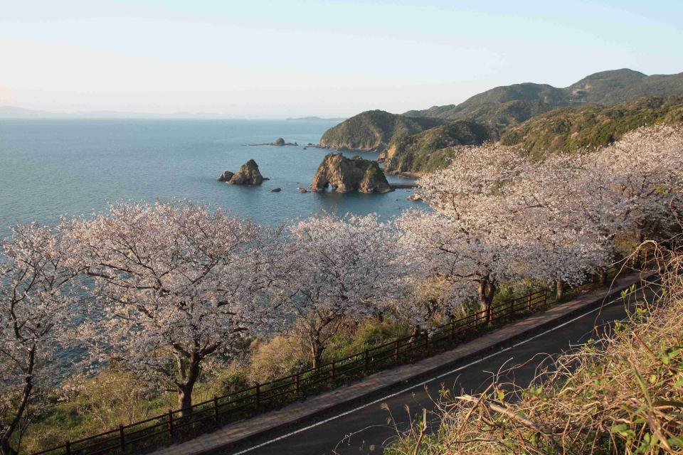 奇特岩石－妙見浦大象岩石。圖片來源｜天草寶島觀光協會