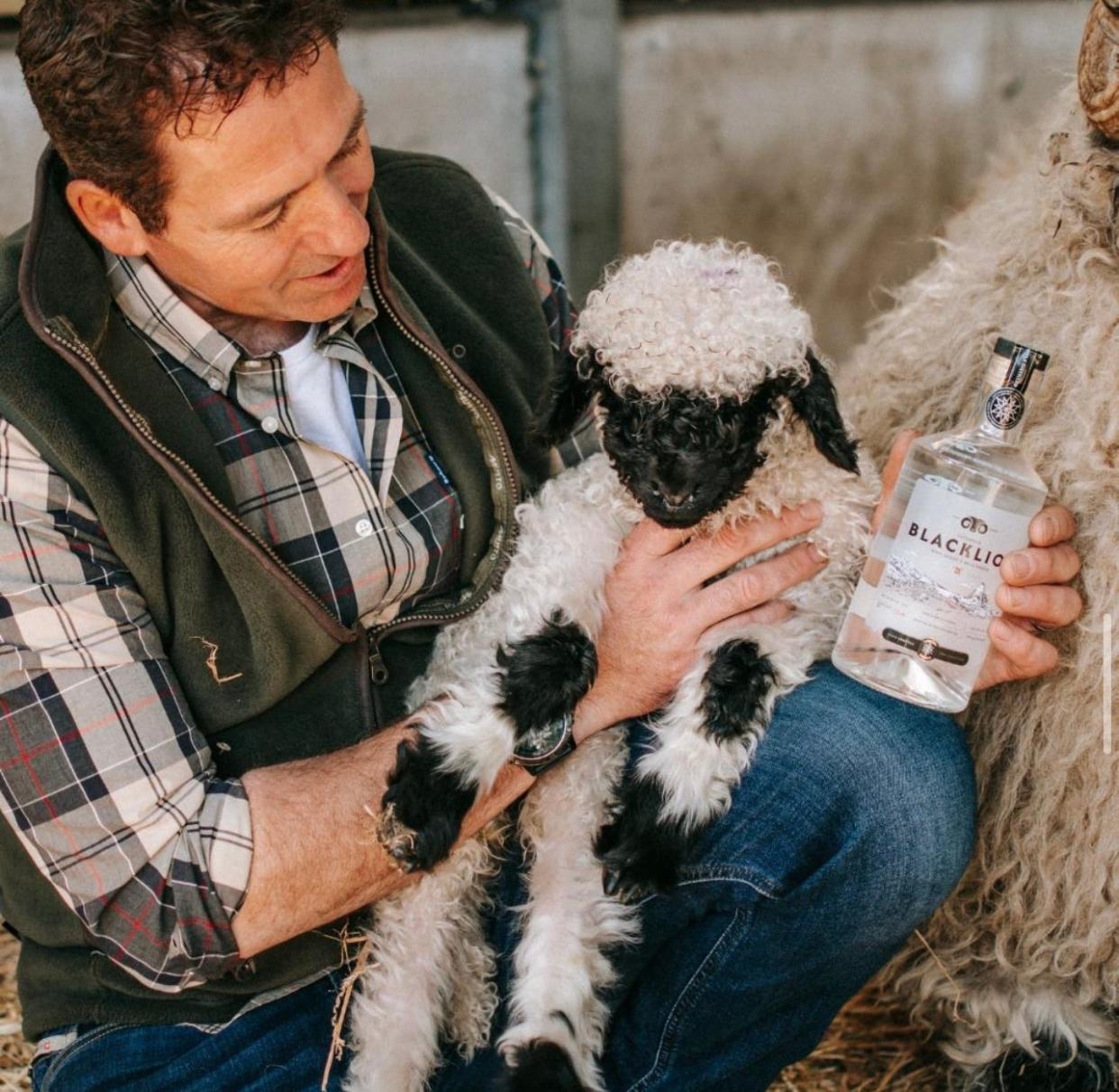 Blacklion Vodka, an award-winning British vodka made from rare sheep's milk, is finally crossing the pond to sell at American distilleries.