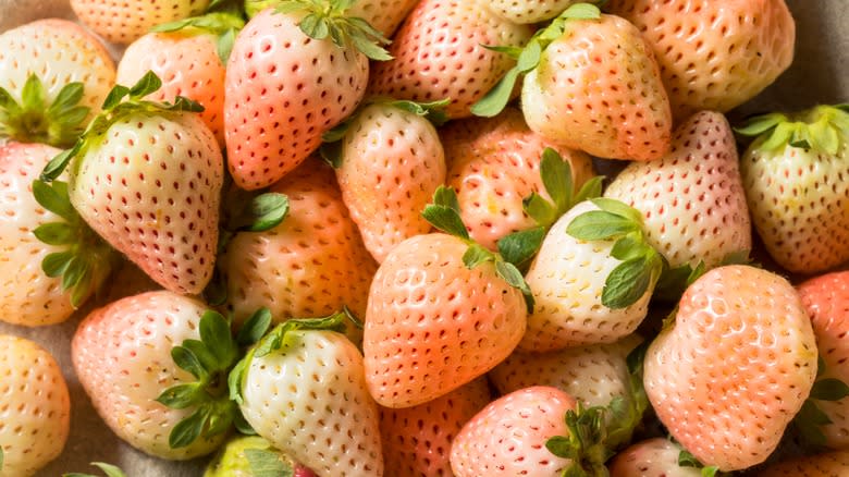 Ripe bunch of pineberries