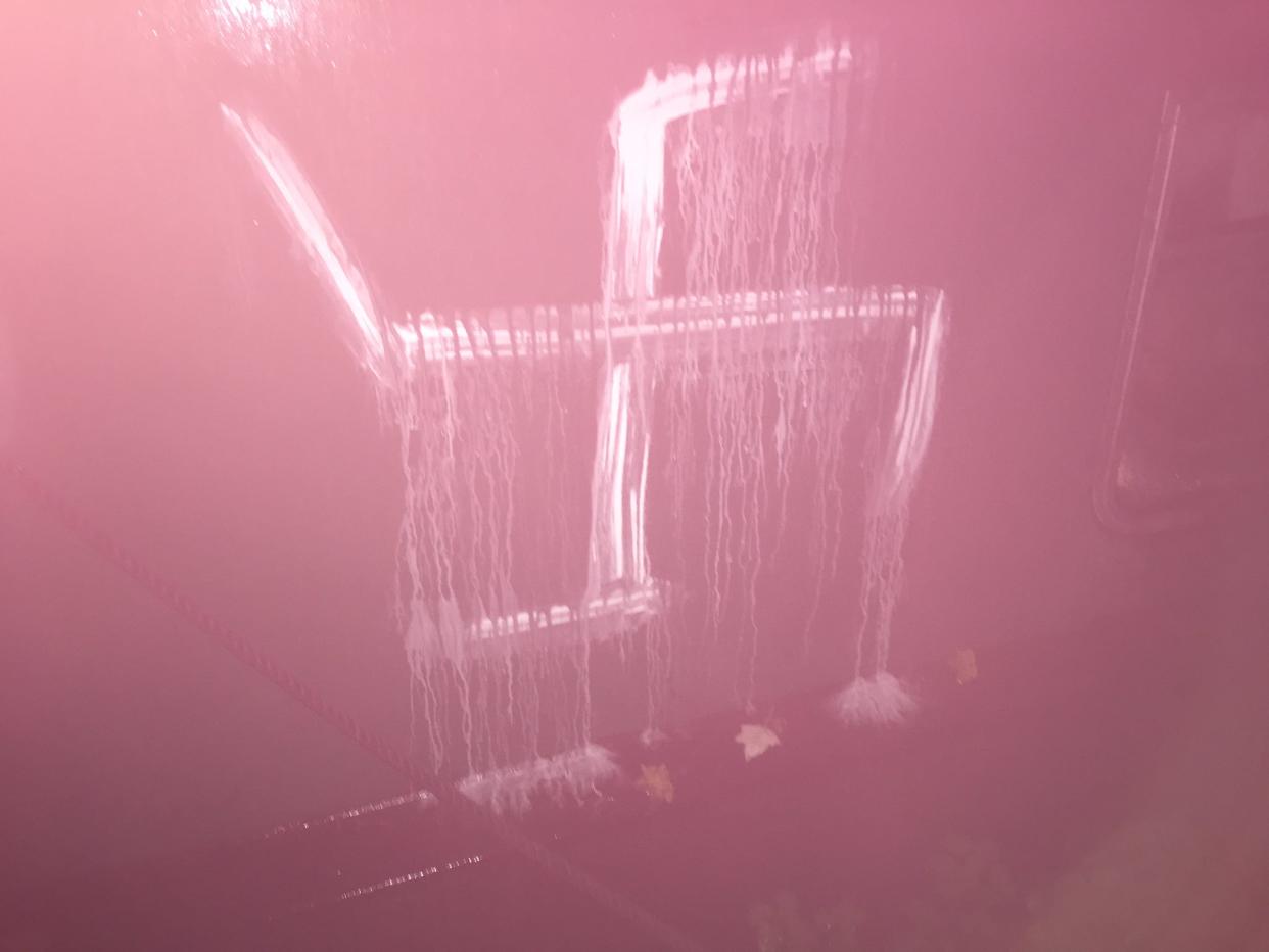 Councillor Cassi Perry found this swastika painted on her boat (Picture: Twitter)