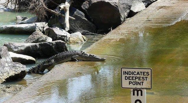 The crossing is infamous for crocs lingering on the track. Source: Instagram/rock.sand.hills