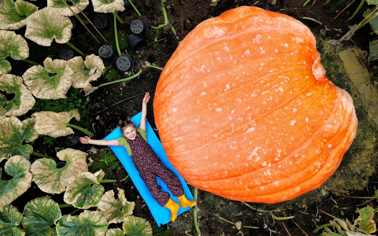 Ian's granddaughter Martha Syrett lies next to a giant pumpkin