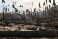A burnt area in a forest is seen during "Operation Green Wave" conducted by agents of the Brazilian Institute for the Environment and Renewable Natural Resources, or Ibama, to combat illegal logging in Apui, in the southern region of the state of Amazonas, Brazil, July 31, 2017. REUTERS/Bruno Kelly