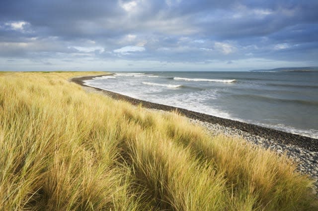 Northam Burrows Country Park. Devon. England. UK.